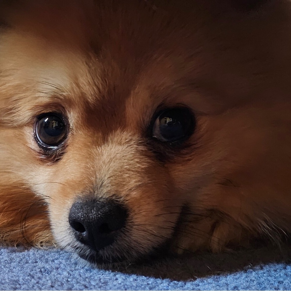 BUNDLE 3 OR MORE FOR 10% OFF🎉